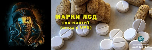 дмт Алзамай