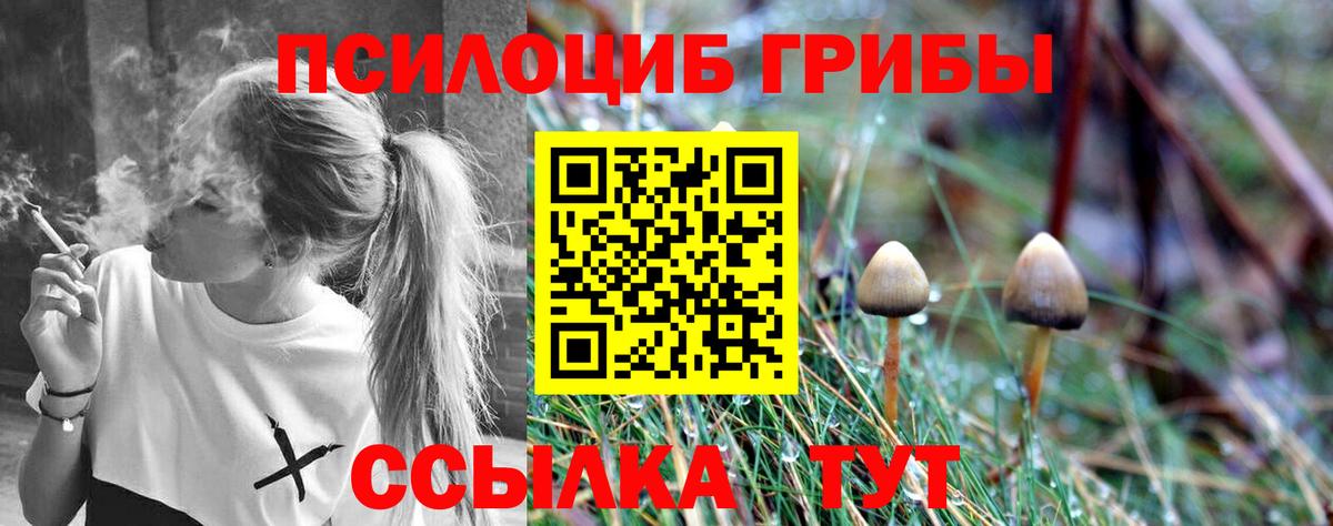 Псилоцибиновые грибы мухоморы  где можно купить   Ухта  Вход с VPN 